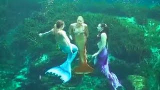 Mermaid Job Training & Rehearsal: Mermaid Melissa with Real Life Mermaids