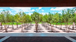 Harriet Pattison Projects: The Kimbell Art Museum [1 of 8]