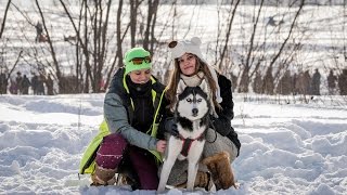Хаски, Лайки, Маламуты! Упряжки и Скиджоринг.Чистопородная гонка Сила Сибири