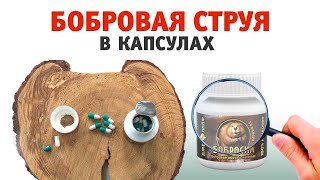 Бобровая струя в капсулах купить. Обзор сухой струи бобра порошок в капсулах "Бобросил"