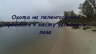 Ловля Пеленгаса на Дону,  в Ростове-на-Дону + дорога к рыбному месту.