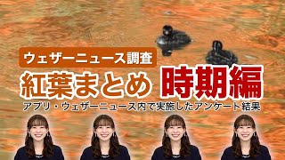 今年の紅葉の見頃時期　全国の約5割が「平年並み」と回答