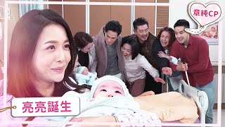 【章純CP】亮亮誕生