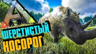 ARK: SURVIVAL EVOLVED - ПРИРУЧЕНИЕ ШЕРСТИСТОГО НОСОРОГА