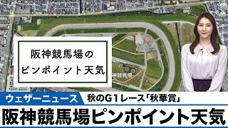 秋のG１レース「秋華賞」／阪神競馬場ピンポイント天気 ＃秋華賞 #阪神競馬場＃競馬