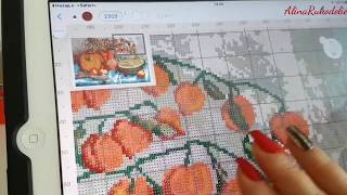 Схемы для вышивальной программы CrossstitchSaga