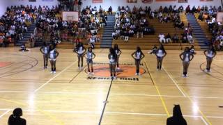 Booker T. Washington SHS Lady Twisters 2014-2015