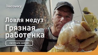 Ловля медуз | Грязная работенка | Discovery
