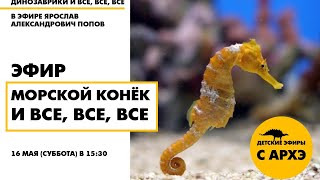 Детский эфир «Морской конёк и все, все, все» в рамках рубрики «Динозаврики и все, все, все»
