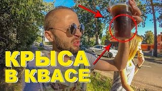VLOG: Крыса в квасе, Идем в зоопарк | Будни Артиста