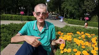 Нашествие Ос и Пчел в Парке Шевченко в Киеве. Сентябрь 2018.