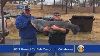 Man Catches Eighty Two Pound Catfish In Oklahoma