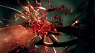 The Living Body - Our Extraordinary Life