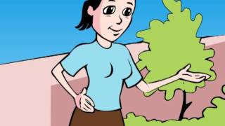Prevenção da Toxoplasmose - UEL