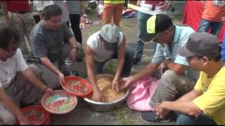中心佛學會7月份六日利生度生聖會第5日早上山林施食鳥類眾生四解脫穀物功德善行法務報告