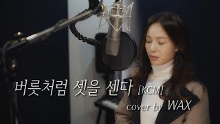 버릇처럼 셋을 센다 [원곡 : KCM] - cover by WAX(왁스)