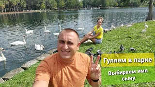 Какое выбрать имя ребенку? Гуляем в Парке Lake Eola Orlando Florida кормим местную живность