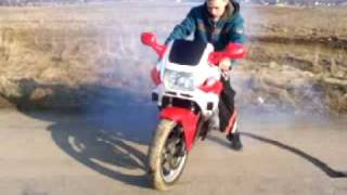 Lisek CBR