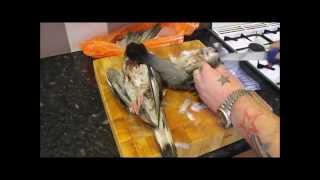 How To Pluck,Gut And Roast A Pigeon.