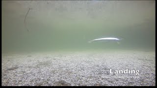 【ルアー】HMKL K1 MINNOW 85 SP