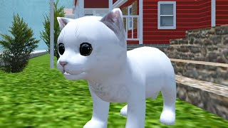 Симулятор кота Жизнь животных Первый взгляд на игру