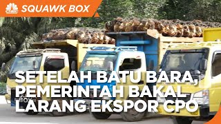Setelah Batu Bara, Pemerintah Bakal Larang Ekspor CPO