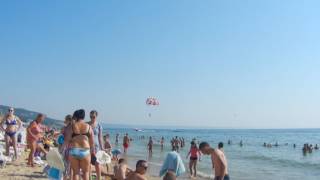 Золотые пески-2016_6    Golden Sands-2016_6