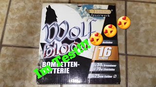Wolfblood|Helios/Weco| Im Test!| 1080p 60fps