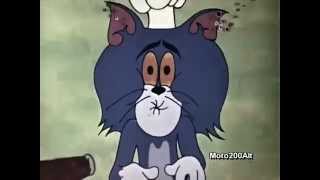 [YTP] Feline and Rodent's Czechoslovakian Barbecue Disaster (Super Tom & Jerry Collab)