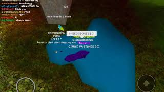 Me being retarded on Roblox Feather Family