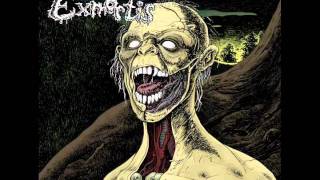 Dreams of the Dead  (Exmortis)