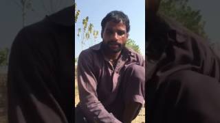 Learn English from Punjabi very funny
