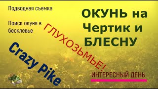 Глухозимье  Часть 3  Окунь на блесну  Подводные съемки  Язь 52