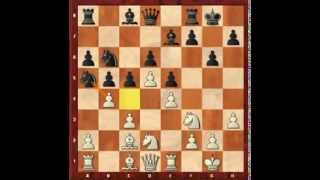 Открытая линия. Испанская партия. Ананд - Карлсен