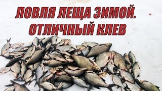 Ловля леща зимой. Подводное видео. День второй