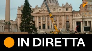 #Vaticano, l’albero di #Natale è arrivato
