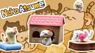 CUTEST KITTIES EVER! Neko Atsume Blind Boxes - Toy Box Collectibles