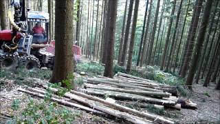 Harvester-Forwarder Durchforstung
