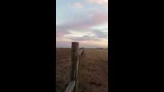 Flying a Piper Lance T Tail off of a short grass strip in T