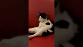 Nikmatnya jilmek dasar