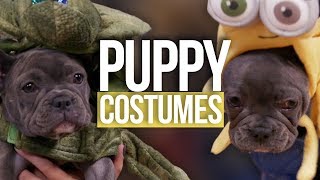 PUPPY Halloween Costumes ft. ADELAINE MORIN (Beauty Break)