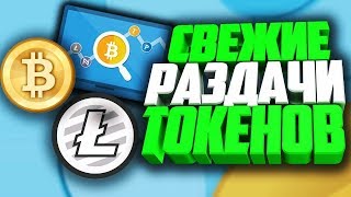 5 новых airdrop - бесплатные раздачи монет