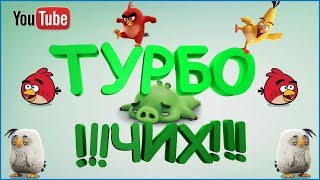 Курица чихнула. Прикол смешное видео.