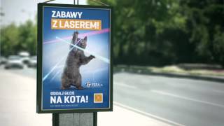 PSY czy KOTY - wybory do Parlamentu Domowego