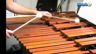 How to Play Xylophone for Beginners