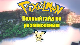 Pixelmon.Полный гайд по размножению покемонов