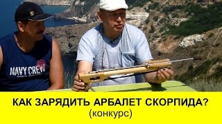 Краткий обзор арбалета для подводной охоты СКОРПИДА+ Конкурс
