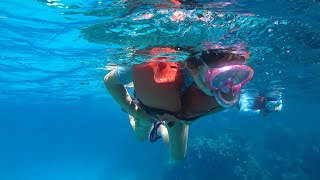 Snorklar på de djupa korallreven - så galet coolt med stora fiskar!
