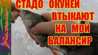 ЛОВЛЯ ОКУНЯ ЗИМОЙ НА БАЛАНСИР НА ДНЕПРЕ
