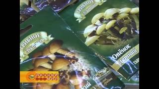 Грибы. Как вырастить самостоятельно мицелий. | Магазин "Семена Самара"